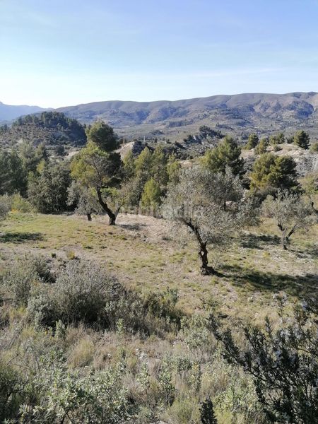 Foto e0067381-14a7-4daf-bea7-6568d371cdc3. Finca rústica a Quatretondeta