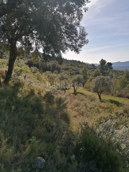 Foto e010a65a-04e0-4403-9a08-e1b641d2f449. Finca rústica a Quatretondeta