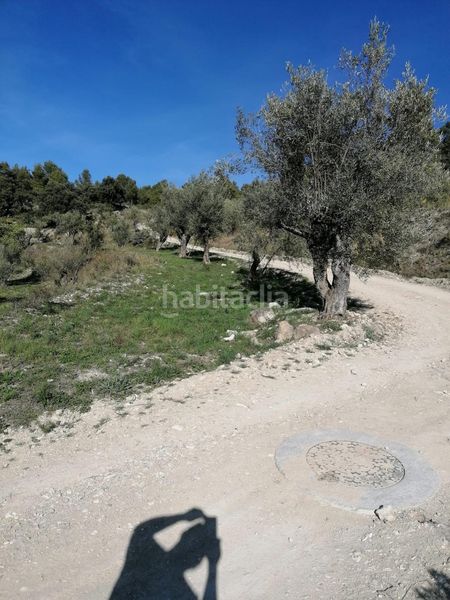 Foto e8e2fd33-85fb-41b0-a789-e828bdfb9644. Finca rústica a Quatretondeta
