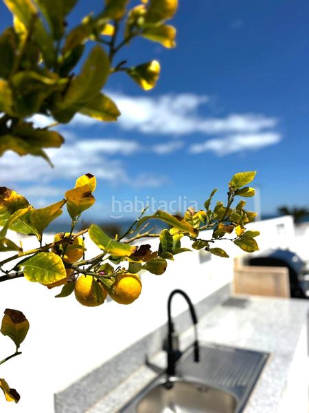 Foto b36d53e5-06a0-4ff5-81be-7e428b4773f5. Àtic a nova beach apart 22 a Monte y Mar Santa Pola