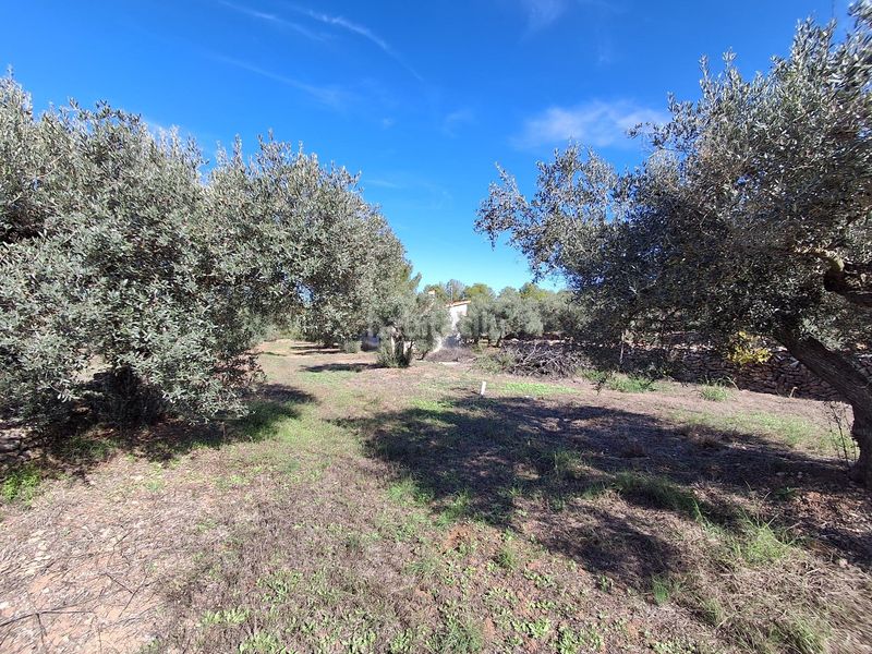 Foto 19b6b028-6f31-482c-bc58-5c0ea5607ae7. Finca rústica a Rasquera