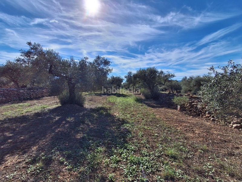 Foto 5fa1693d-8bd2-422a-8c65-632afb6b034a. Finca rústica a Rasquera