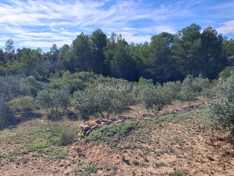 Foto 7439de05-c171-405d-ae53-9a5a035c72f8. Finca rústica a Rasquera