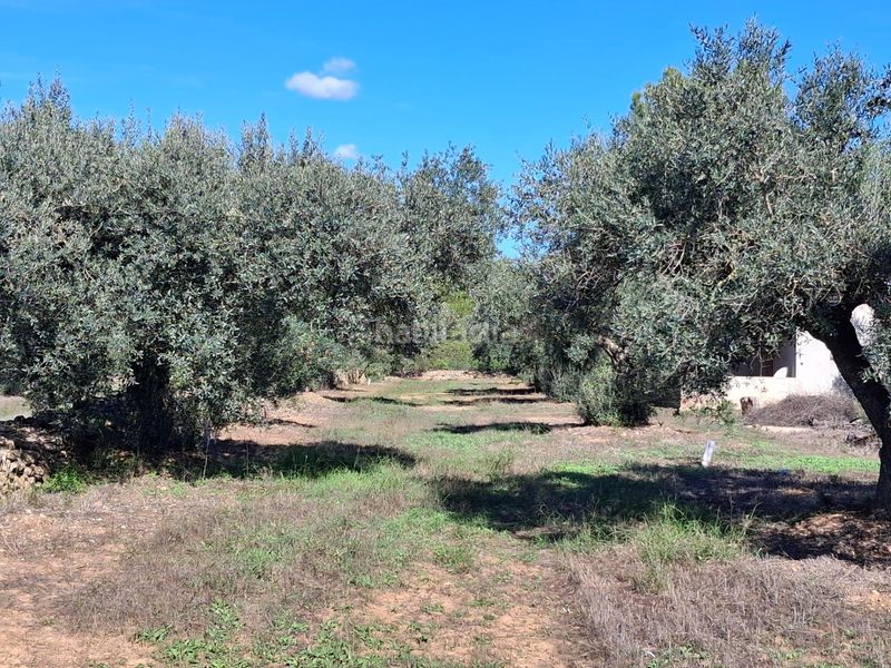 Foto 892c0f53-4467-4f04-9a23-6b81fbdf78b7. Finca rústica a Rasquera