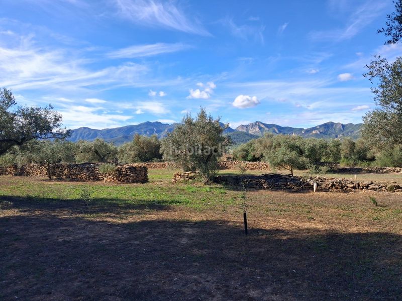 Foto 9f65c4f8-e76e-4571-823e-08e46c2ca568. Finca rústica a Rasquera