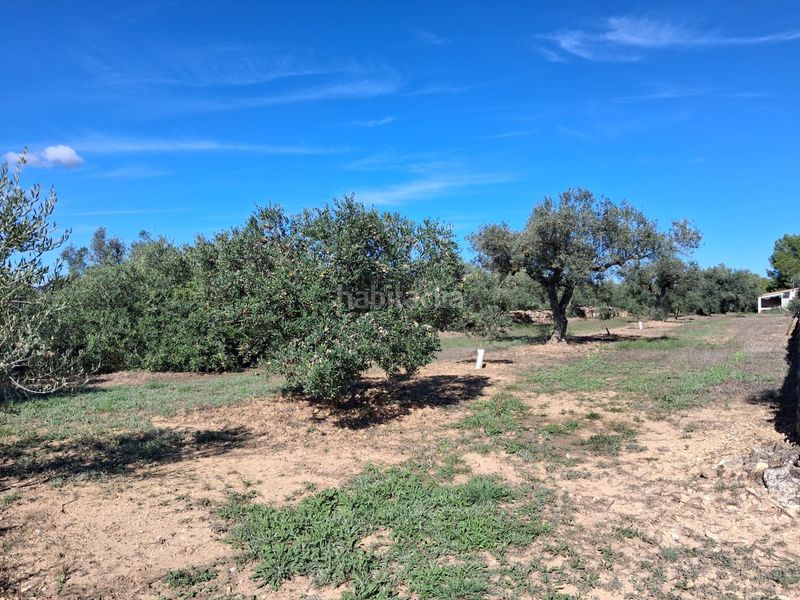 Foto ba5b40ba-5f80-4543-b819-002f06592810. Finca rústica a Rasquera