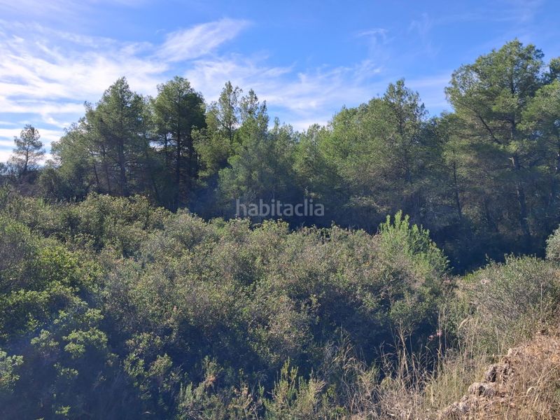 Foto c83837c4-1a64-4466-add8-d06a87b8696b. Finca rústica a Rasquera