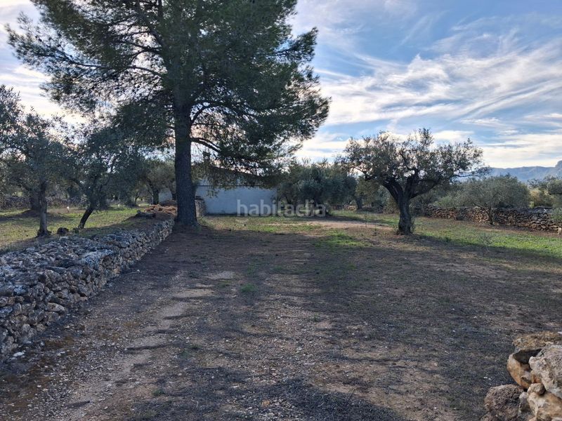Foto c9fed81d-eedc-4f0d-9254-99f845cc2bea. Finca rústica a Rasquera