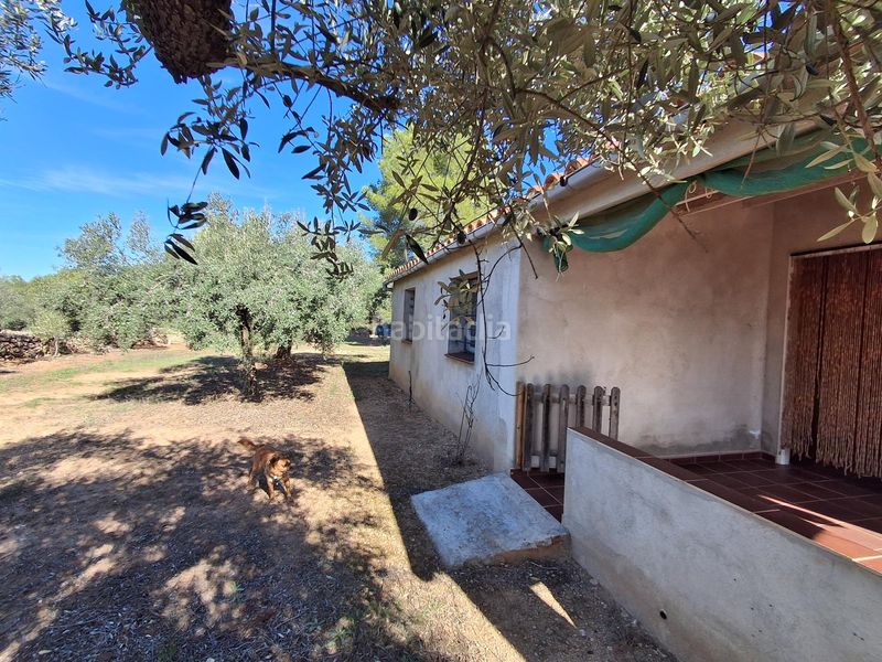 Foto d75554d6-eca3-4c23-a88f-d5c2c617791c. Finca rústica a Rasquera