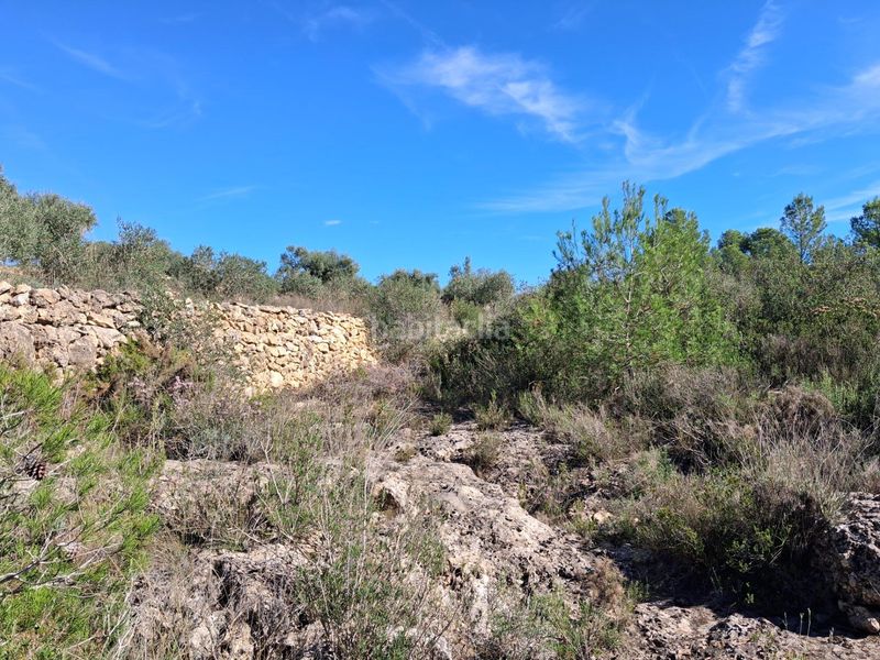 Foto ebfa8678-79dd-4425-ad50-ca7cd1674a96. Finca rústica a Rasquera