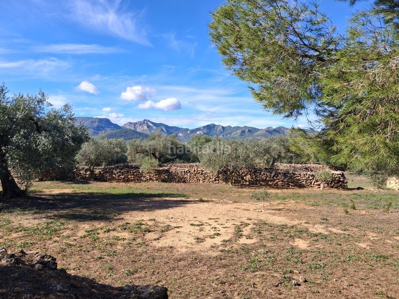 Foto f7a7536e-6748-46ca-8db0-70beafba93f7. Finca rústica a Rasquera