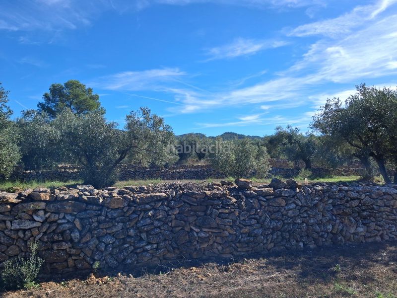 Foto fa6f30fb-d326-4149-a9ed-1c17690f3571. Finca rústica a Rasquera