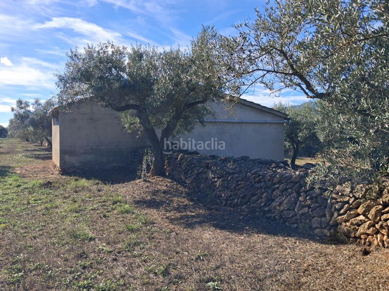 Foto fe833805-a0af-4fd0-9e74-87f90692ccc6. Finca rústica a Rasquera