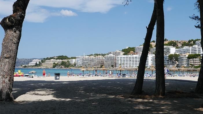 Foto 16315f1d-643c-4e75-9c1a-53e0b985708f. Apartament a Costa de la Calma Calvià