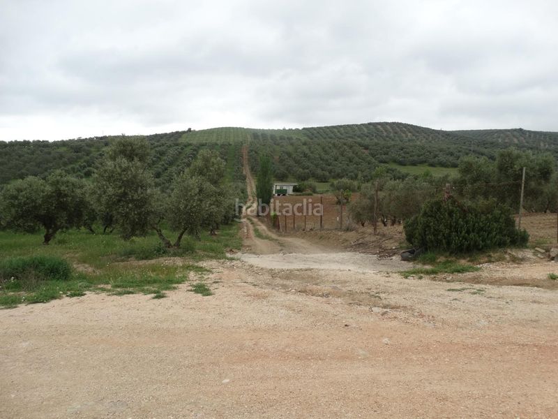 Foto 0d718122-445c-4b64-a0e4-5c24113e44e0. Finca rústica a calle cerro limon a Cueva de Menga Antequera