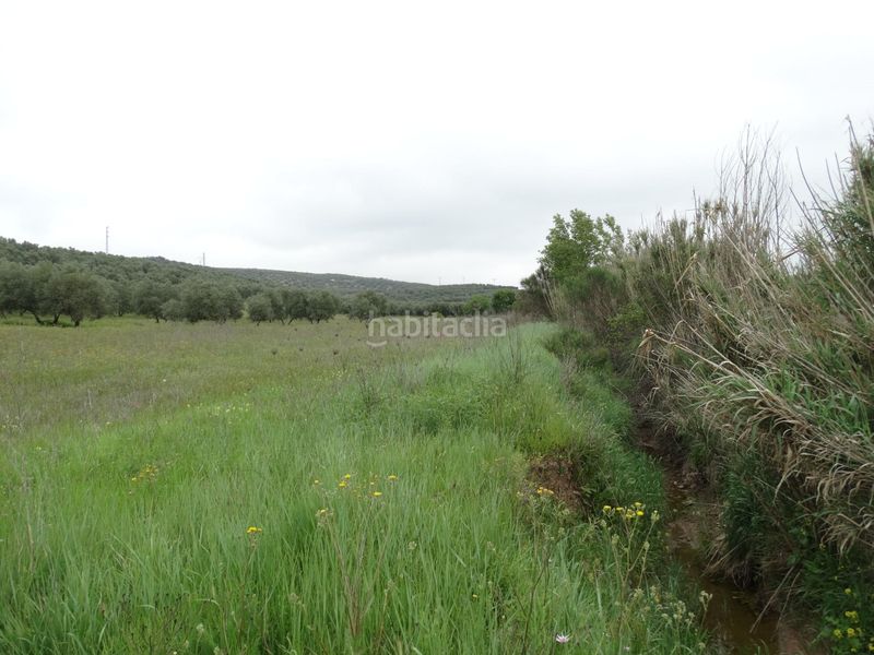Foto 9ab32aaa-09d8-407c-ae65-bc70c593e7dc. Finca rústica a calle cerro limon a Cueva de Menga Antequera