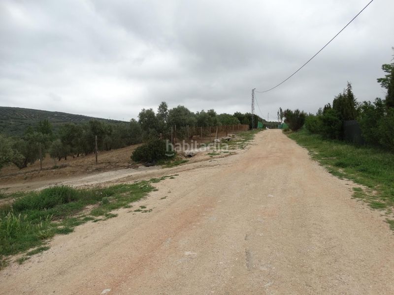 Foto a3f5b0f2-d64e-4eee-a34c-445bb16b8e45. Finca rústica a calle cerro limon a Cueva de Menga Antequera