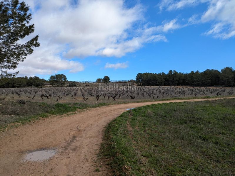 Foto 41450014-d1a9-4cb5-8846-44c420814052. Finca rústica a polígono 36 128 a Requena