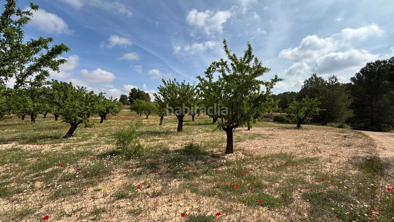 Foto 4c8ed49a-f72c-44d2-b036-37d105c2566e. Finca rústica a polígono 36 128 a Requena
