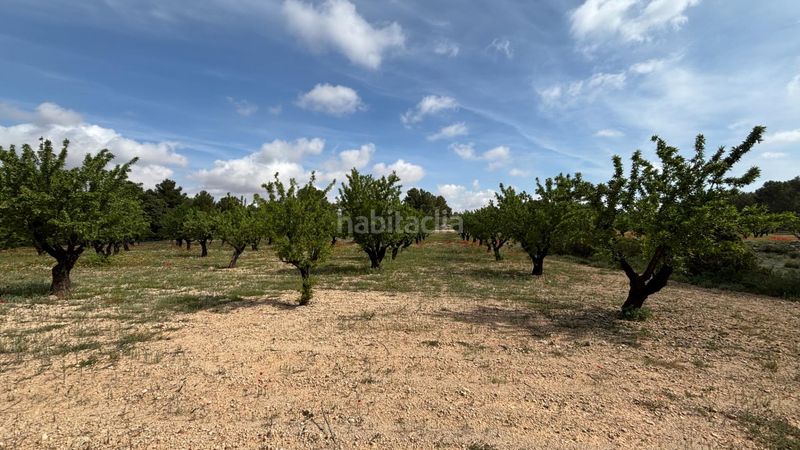 Foto 4c9f9380-c4c0-4eb4-9097-ac82da64076b. Finca rústica a polígono 36 128 a Requena