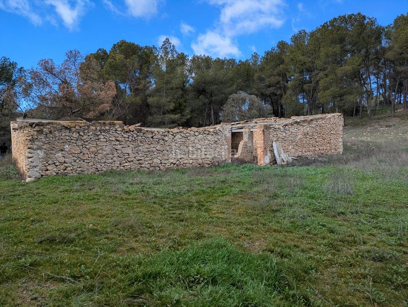 Foto 4d7c45e2-ca64-4615-b006-bbe14aff1ad8. Finca rústica a polígono 36 128 a Requena