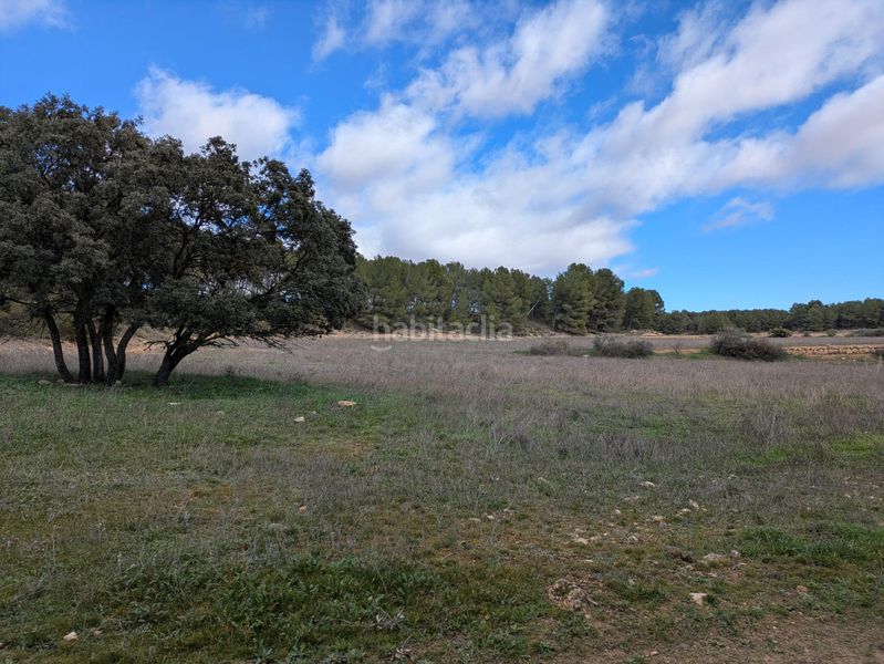 Foto a58801c8-025c-4080-a28f-a50dd4544876. Finca rústica a polígono 36 128 a Requena