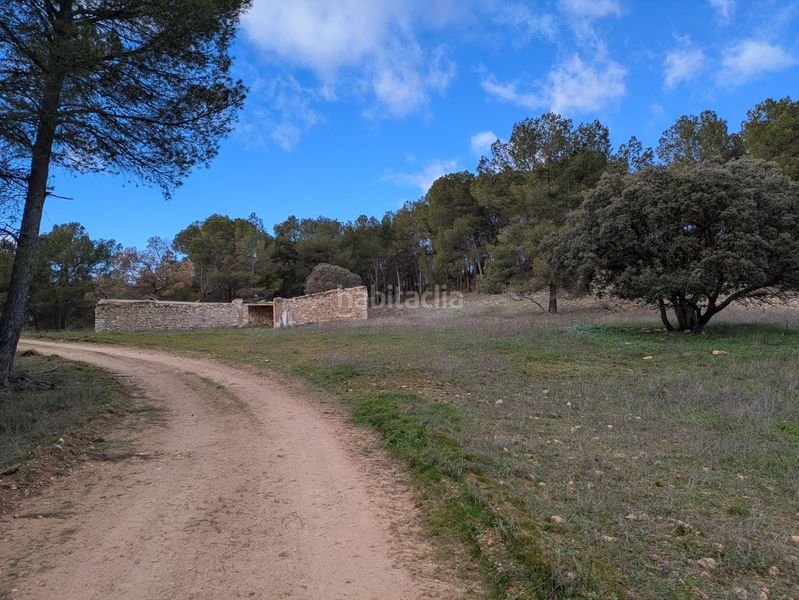 Foto df1bc000-dc0b-460d-a8e5-eb5961f43e76. Finca rústica a polígono 36 128 a Requena