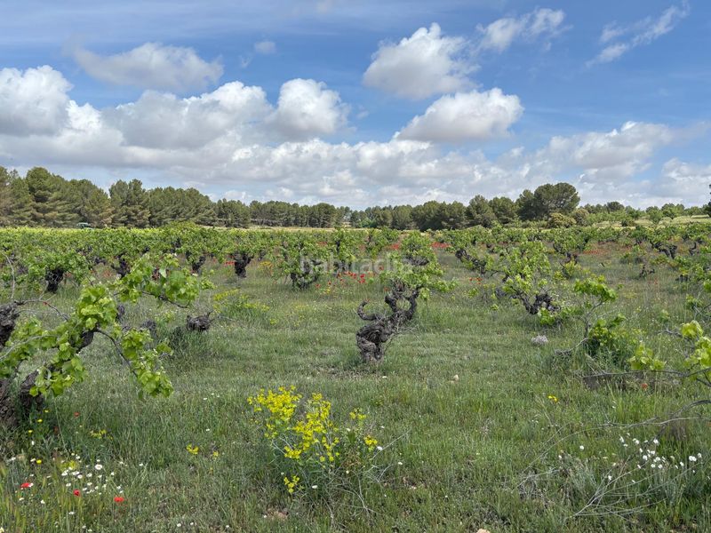 Foto f0440fc8-d820-4594-ac87-d589f95c7b76. Finca rústica a polígono 36 128 a Requena
