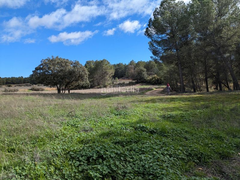 Foto f1022e69-a953-4c74-afc3-c81e9f241318. Finca rústica a polígono 36 128 a Requena