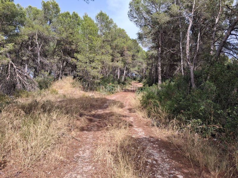 Foto 0c291490-3b8e-45b3-a80e-375ddce3a194. Finca rústica a Gandesa
