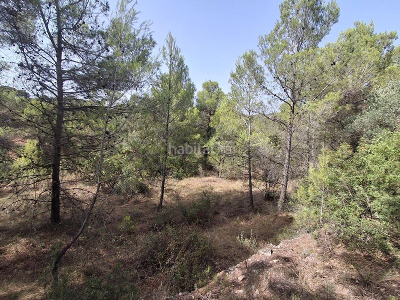 Foto 0ca84916-b292-49e2-9153-99381bf1b7a2. Finca rústica a Gandesa