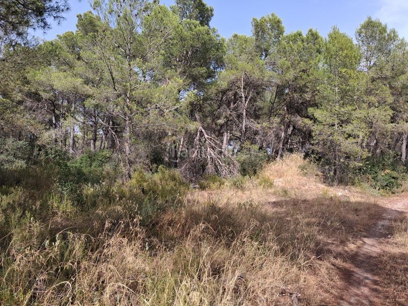 Foto 11c9d2b0-eb76-4473-95df-6a73e34425a6. Finca rústica a Gandesa