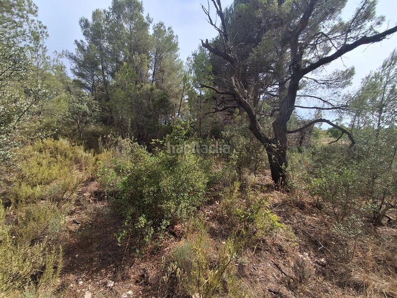 Foto 1ffd8932-bf4e-4428-9d1d-dce7143e6004. Finca rústica a Gandesa