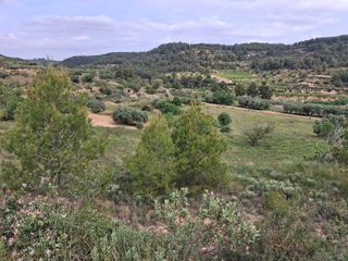 Landgut in Gandesa. Finca rustica con ruina a reformar