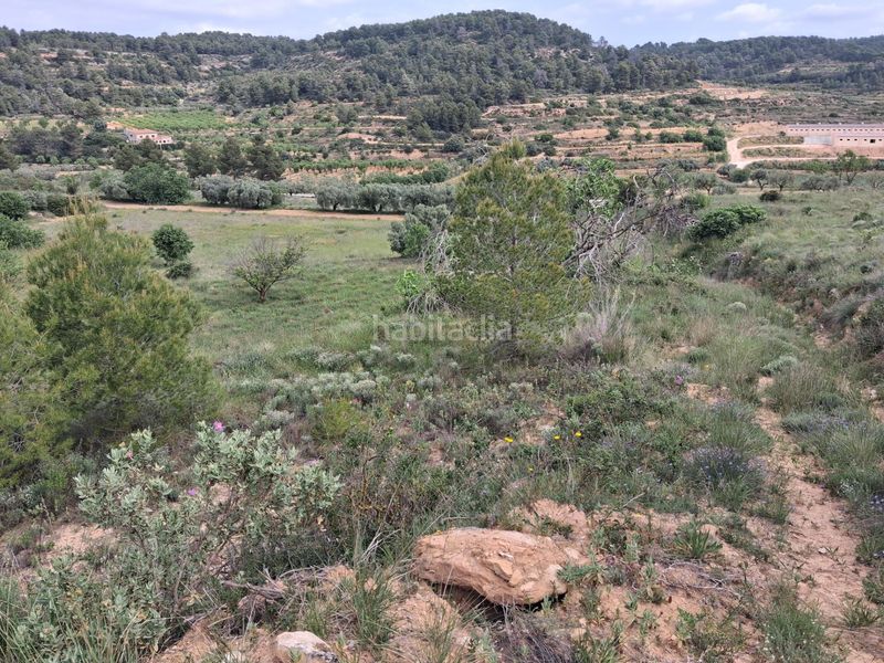 Foto 4aee1e74-72bd-40ac-a9fe-e61e5782a765. Finca rústica a Gandesa