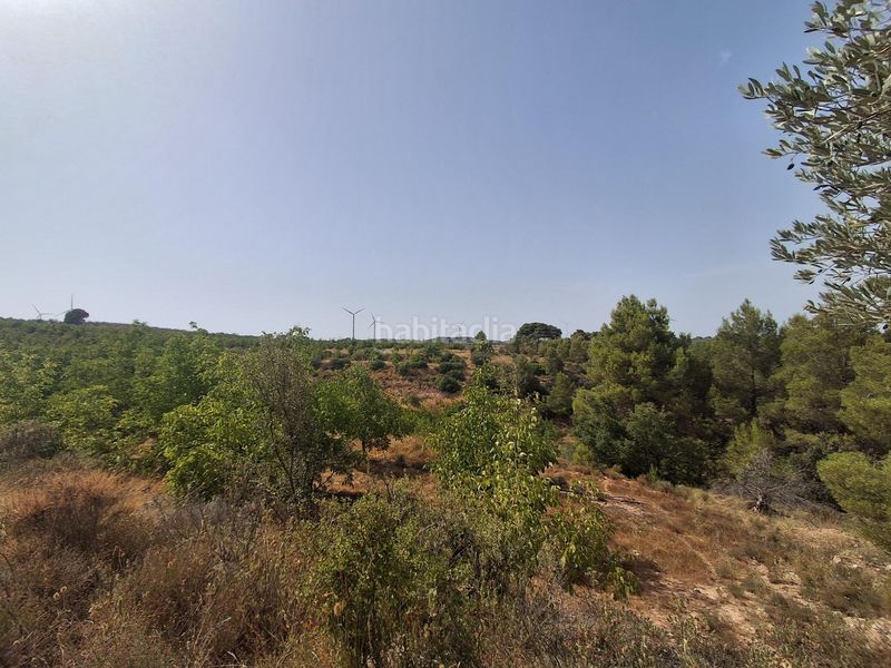 Foto 4dcc0ff4-ffd4-4519-a1c3-d5cede1a013a. Finca rústica a Gandesa