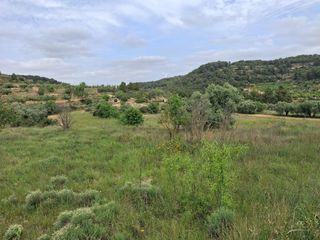 Rural plot in Gandesa