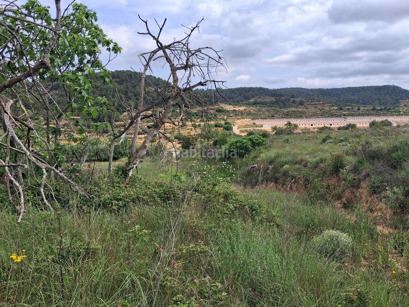 Foto 5886125a-df4d-4bde-94e5-bfe8c088990d. Finca rústica a Gandesa