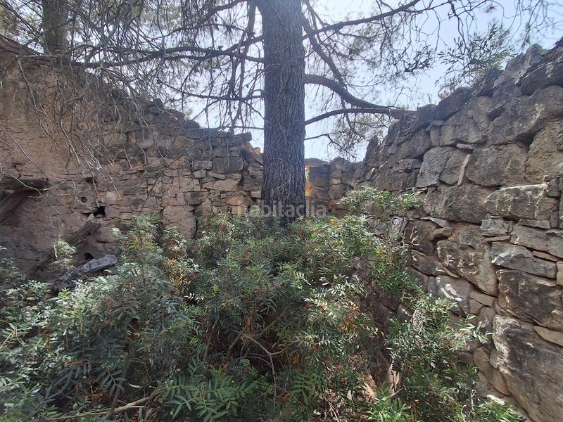 Foto 91f25580-e710-4ea0-ae22-38aa06b90106. Finca rústica a Gandesa