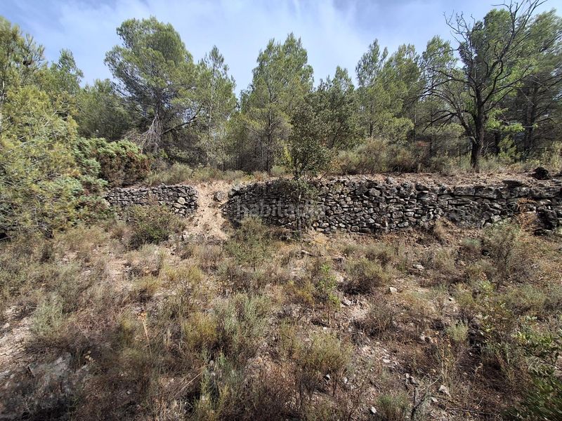 Foto a8874765-0213-4a00-b53b-50a88819c203. Finca rústica a Gandesa