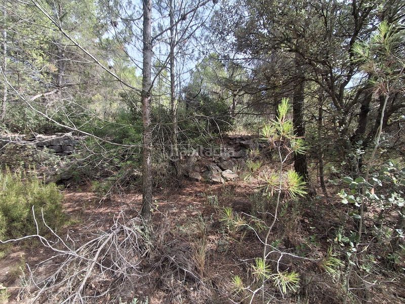 Foto b17462dd-b342-4889-9ad1-c8f7292da08b. Finca rústica a Gandesa