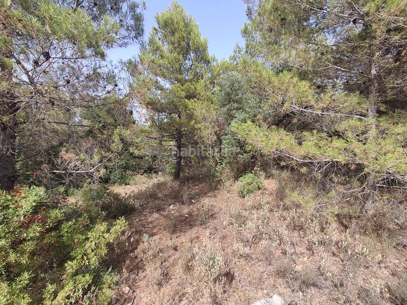 Foto b1e11cce-7d33-4901-8cd3-80e076e6dc5b. Finca rústica a Gandesa
