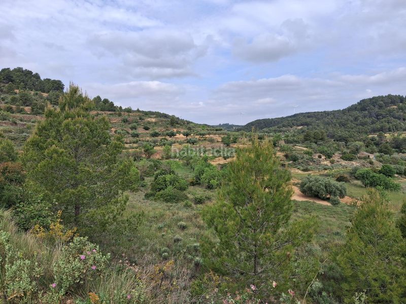 Foto be192418-4fef-4321-8752-5c603d054703. Finca rústica a Gandesa