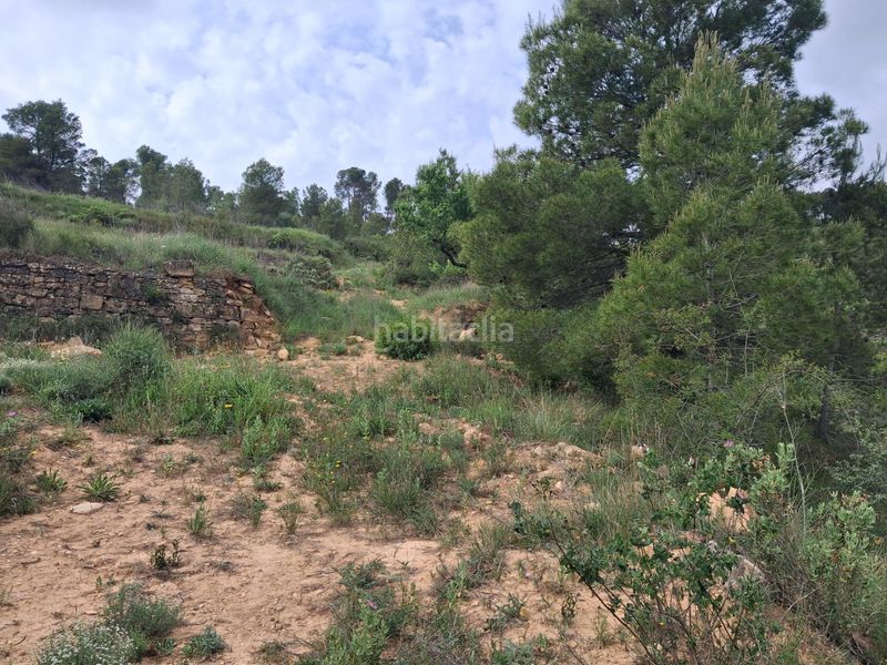 Foto c0678f74-557a-405d-949c-254641428bd6. Finca rústica a Gandesa