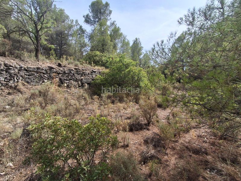 Foto c1b78bb0-6b36-4bde-bbd0-25a673263781. Finca rústica a Gandesa