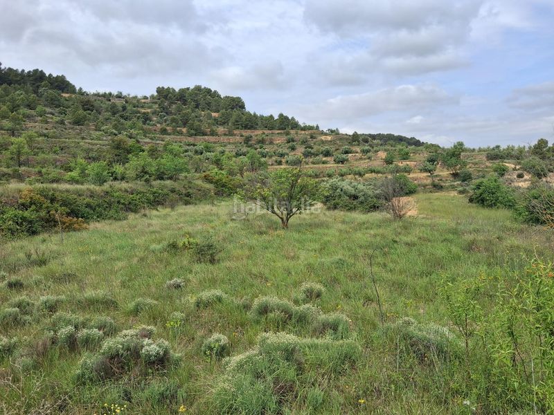Foto ccdd371d-0f38-4f46-b8d2-709b2c718fa4. Finca rústica a Gandesa