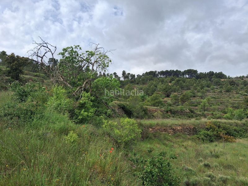 Foto d87f62cf-f292-451f-b099-47c5b2dc9a30. Finca rústica a Gandesa