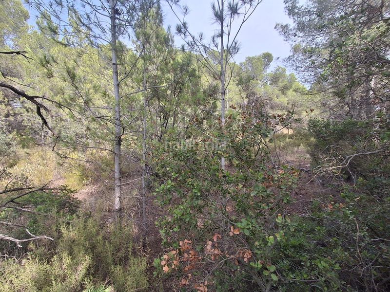 Foto df22a7e7-6547-4bfb-b007-0699dcf6ab26. Finca rústica a Gandesa