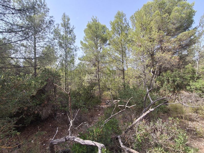 Foto f9de4b65-34fe-4eb6-b69c-3a1a9f7da91d. Finca rústica a Gandesa