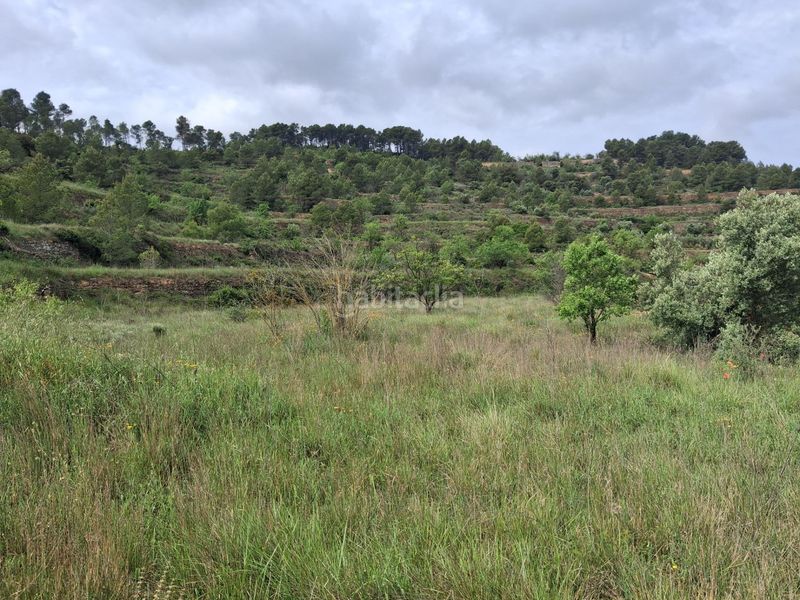 Foto fa5cdb13-de36-4223-88d7-7a335d7e1e62. Finca rústica a Gandesa